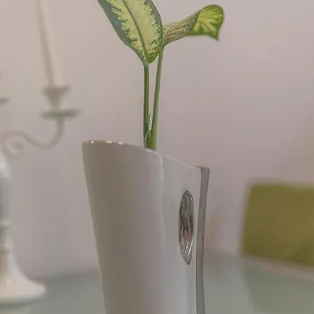 Neve St Апартаменты Сплит